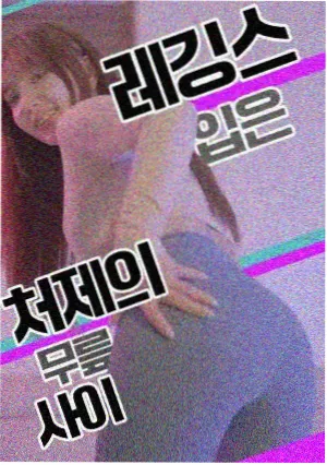 星屑编年动画封面